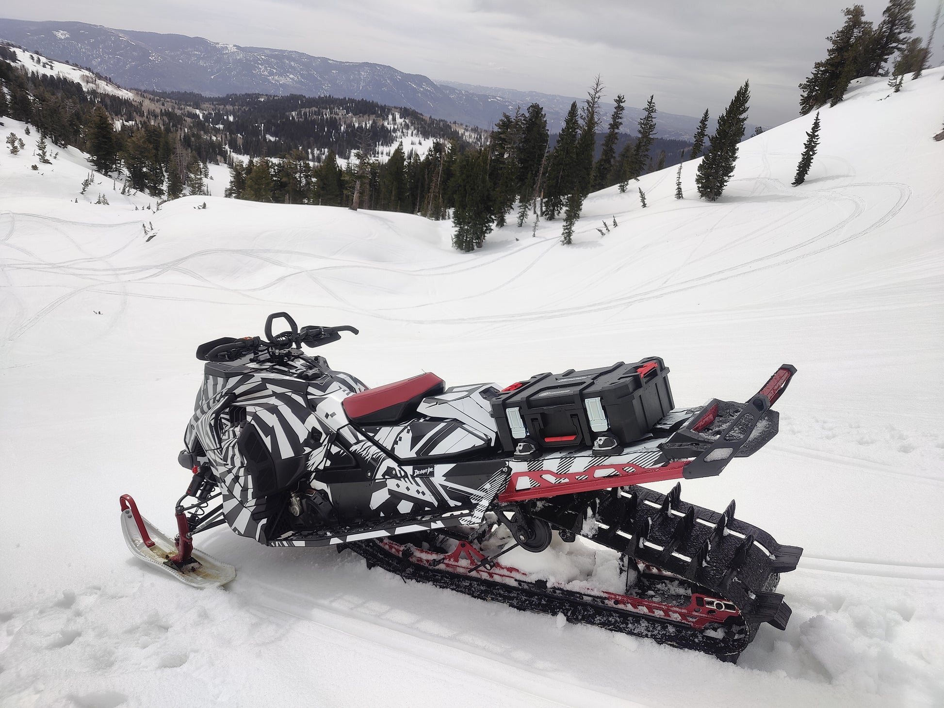 Tunnel Tote with Skidoo Freeride